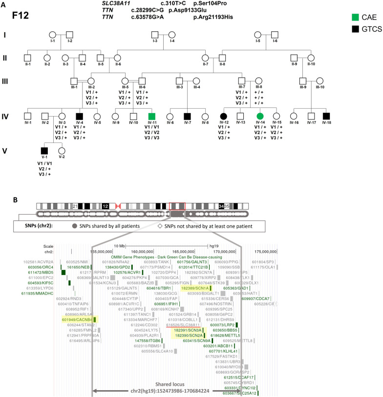 Fig. 3