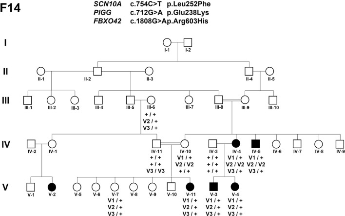 Fig. 4