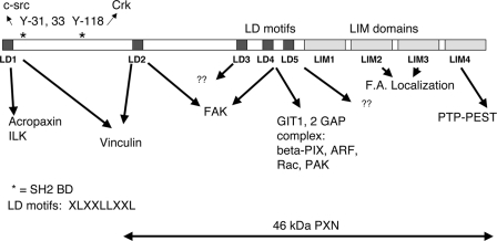 FIG. 1.