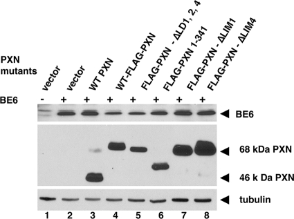 FIG. 5.