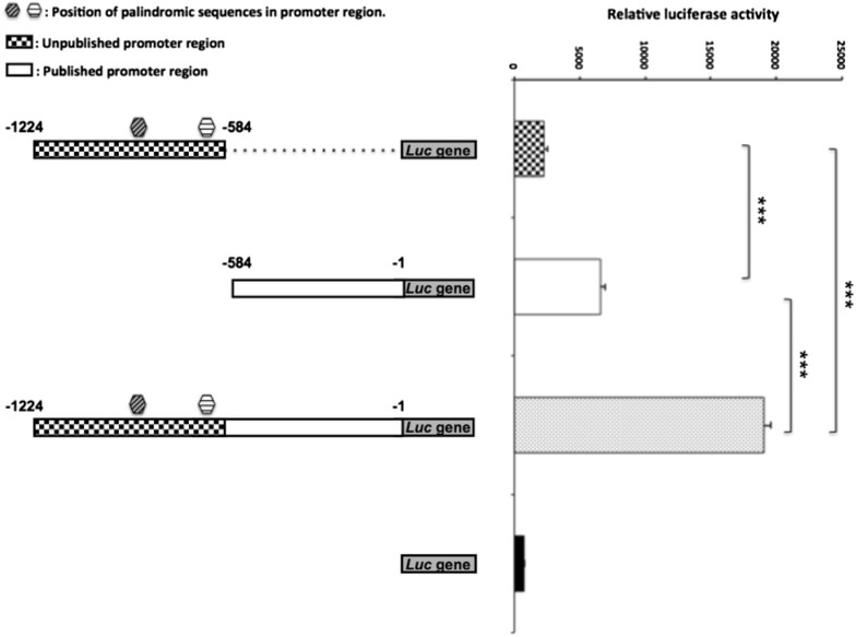 Fig. 2