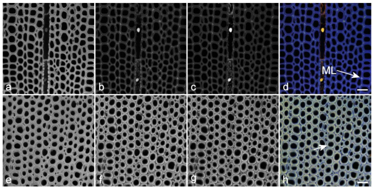 Figure 10