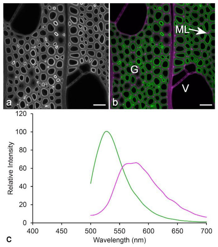 Figure 12