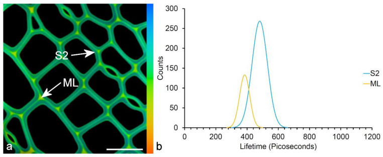 Figure 13