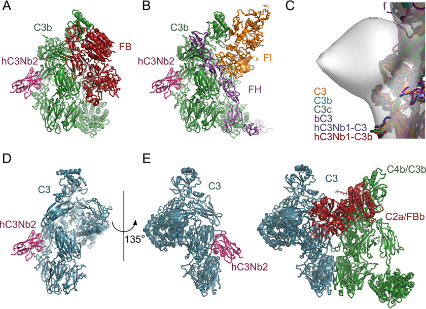 Figure 6.