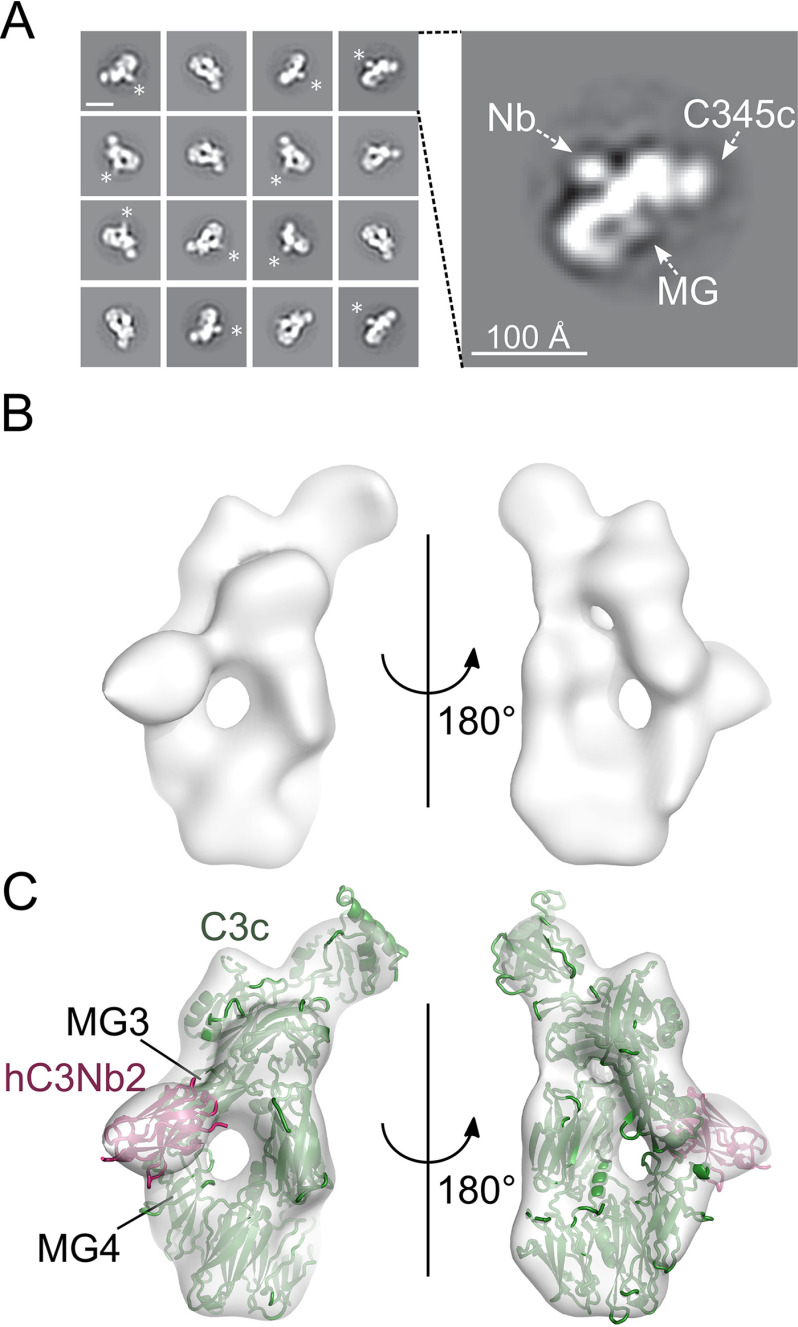 Figure 5.