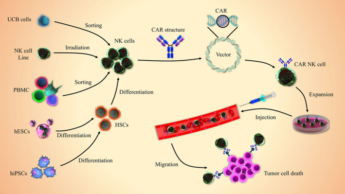 FIGURE 2