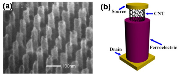 Figure 19