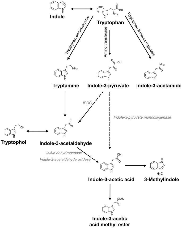 Figure 5.