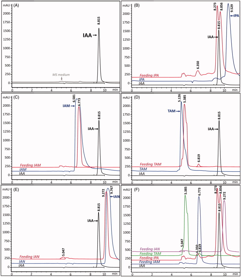 Figure 4.