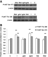 FIG. 6.
