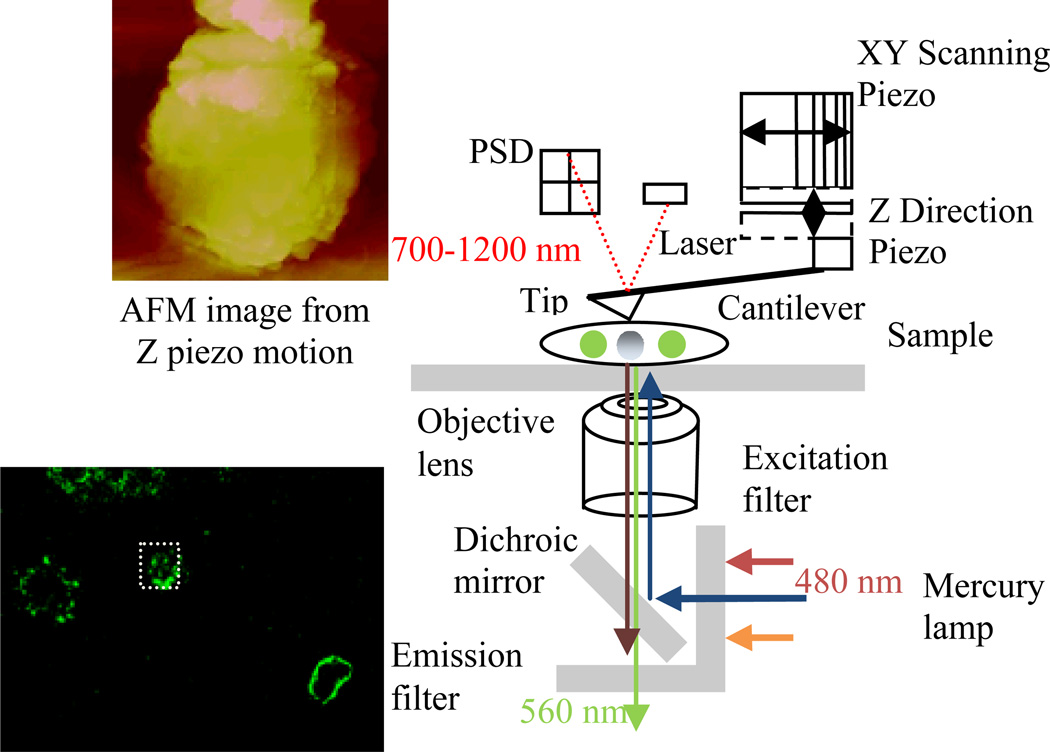 Fig. 3