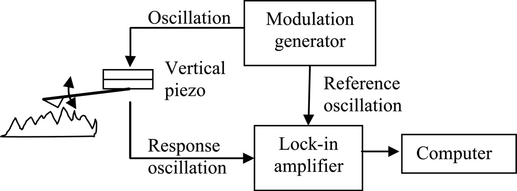 Fig. 8