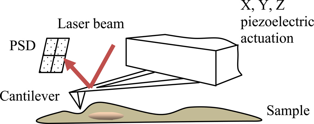Fig. 1