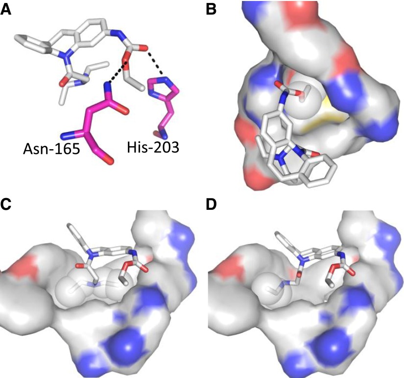 Fig. 8.