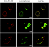 FIG. 3.