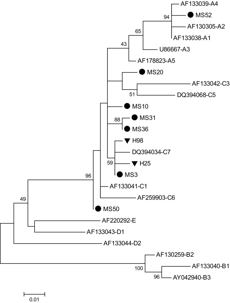 Fig. 1