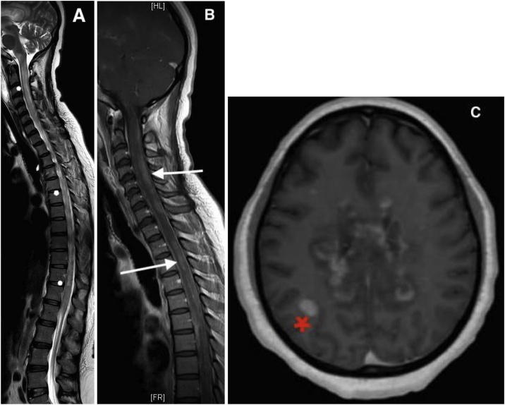 Fig. 2