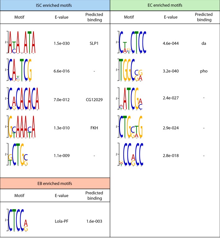 Figure 5—figure supplement 1.