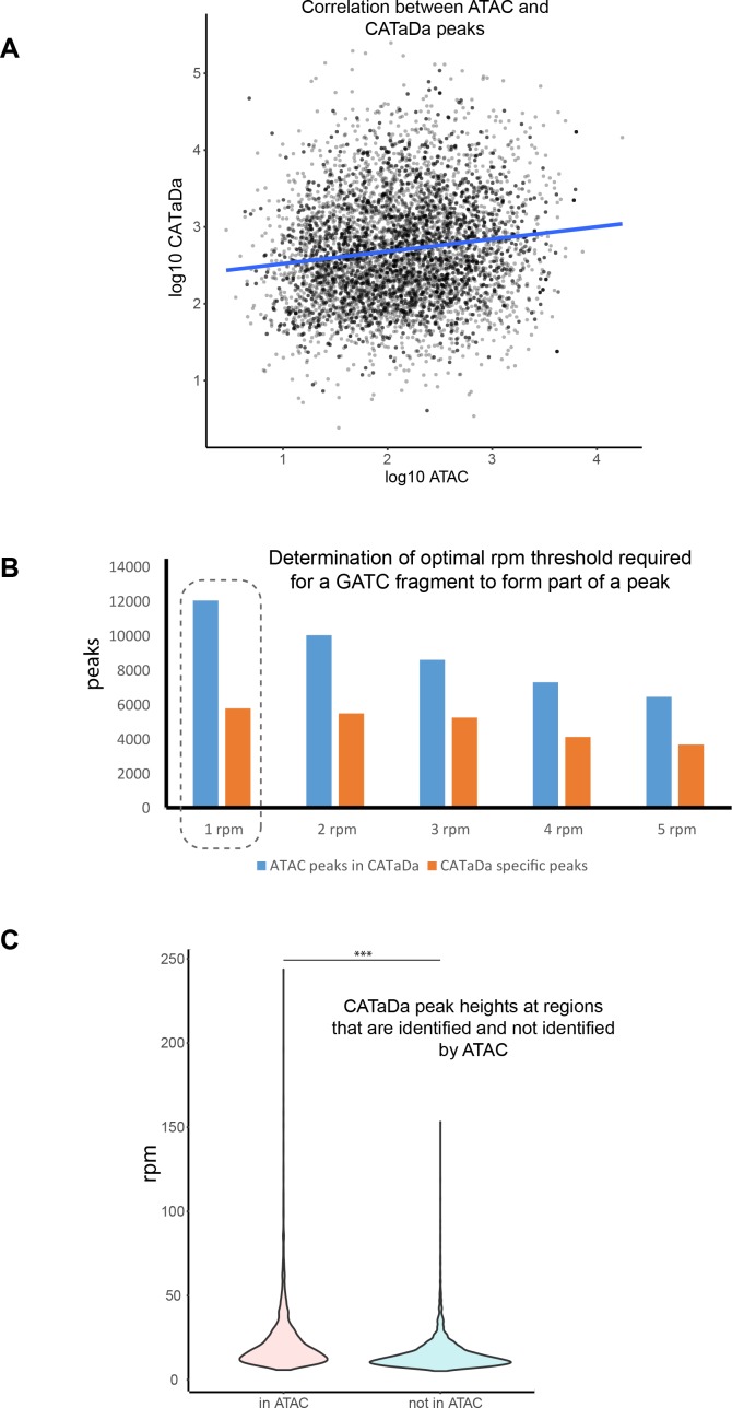 Figure 2—figure supplement 2.