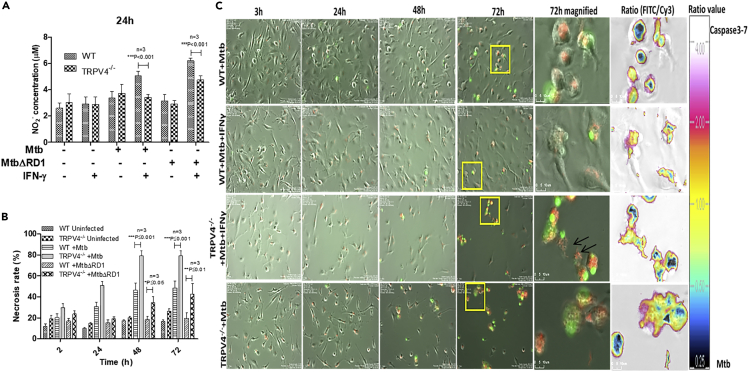 Figure 3