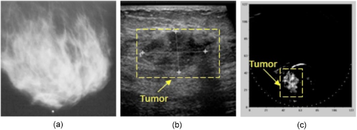 Fig. 13