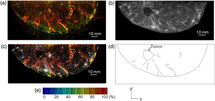 Fig. 12