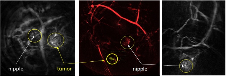 Fig. 17