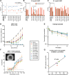 Figure 4. A, pIC50 (−log[IC50 (M)]) of novel camptothecin ADCs compared with DXd-ADC (bystander active) and DXd2-ADC (bystander inactive) benchmarks in both HER2-high SK-BR-3 and HER2-negative MDA-MB-468 cells. Bystander assay at 1.0 and 0.1 nmol/L ADC concentrations: viability of HER2-negative MDA-MB-468 cells treated with either 1.0 nmol/L (B) or 0.1 nmol/L (C) ADC concentration when grown in monoculture (orange bars) or in coculture with HER2-high SK-BR-3 cells (brown bars). D, In vivo efficacy of DAR8 ADCs in CB17.SCID mice implanted with HER2-expressing JIMT-1 cells. At an approximate TV of 150 mm3, mice were treated with single dose of either vehicle or ADC (3 mg/kg). TVs are represented as mean ± SEM on days measured. E, Pharmacokinetic analysis of ADCs highlights comparable exposure of all test articles except T-DL4 which showed more rapid clearance. F, 3D spheroid cytotoxicity assay: JIMT-1 tumor cells were grown in coculture with human dermal fibroblasts in ultra-low attachment plates then treated with ADCs. G, In vitro cytotoxicity in the 3D spheroid assay was well correlated with in vivo efficacy in the JIMT-1 CDX model.