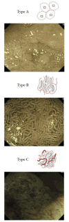 Fig. 8.