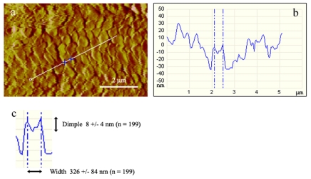 Fig. 6.