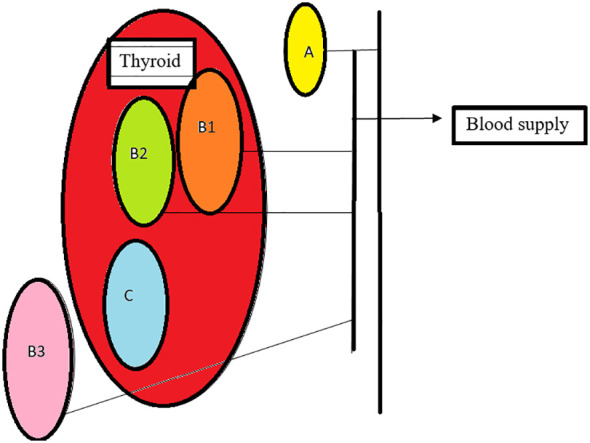 Figure 3