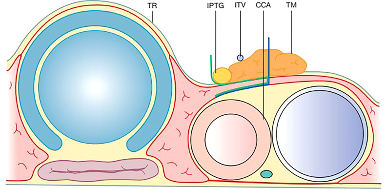 Figure 5