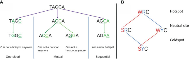 Figure 6