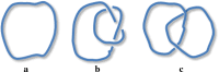 Scheme 1
