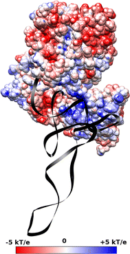 Fig. 12