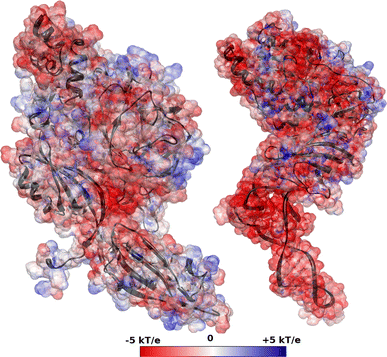 Fig. 10