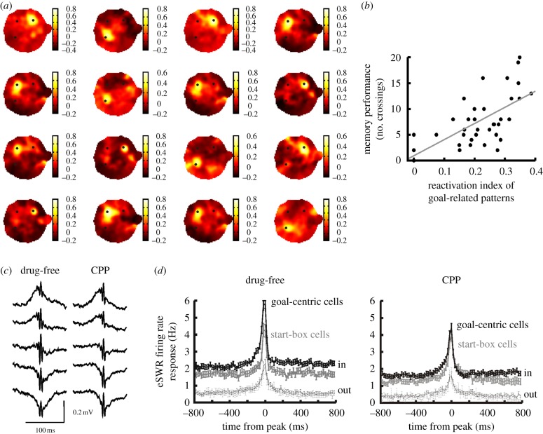 Figure 2.