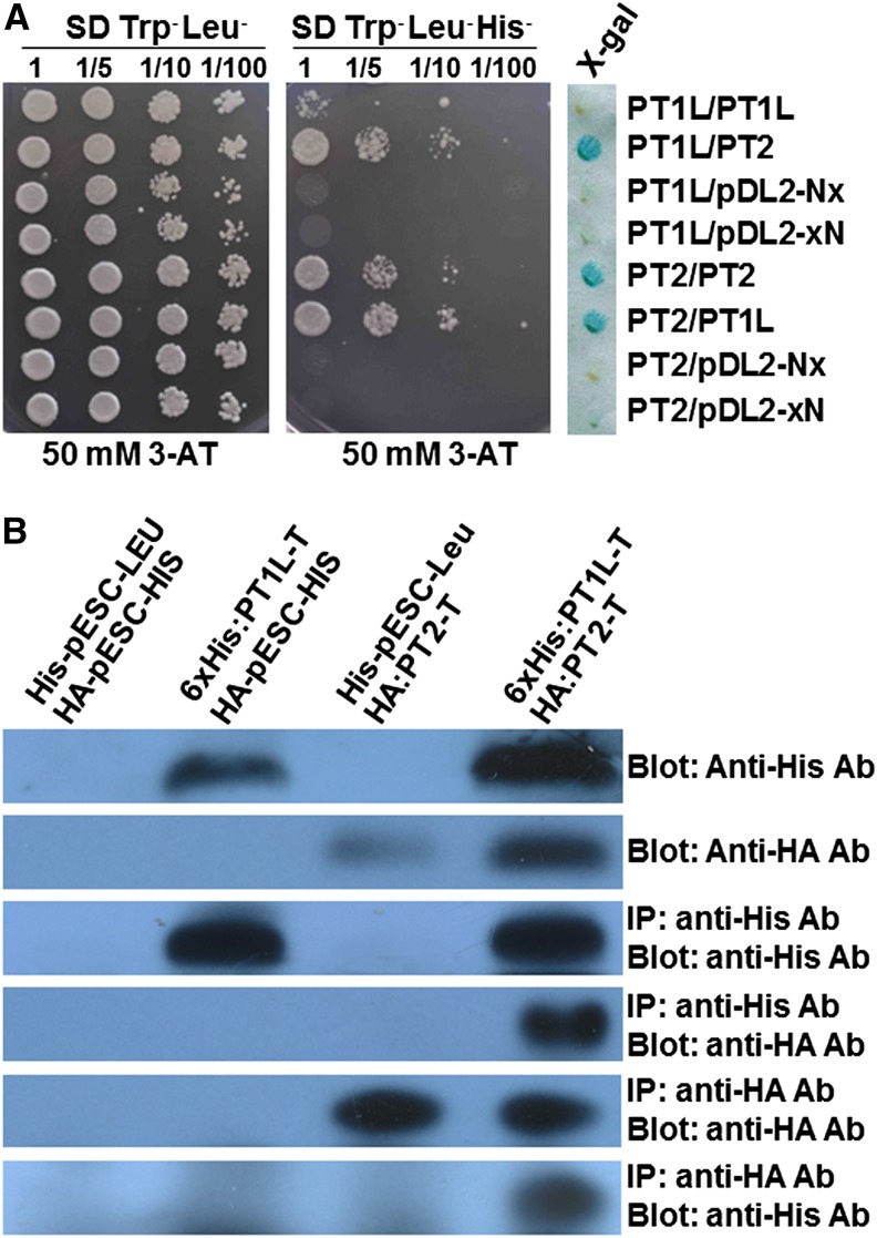 Figure 6.