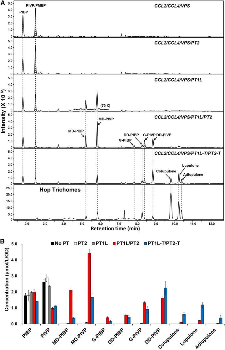 Figure 4.