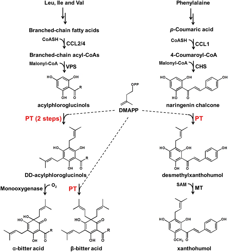 Figure 1.