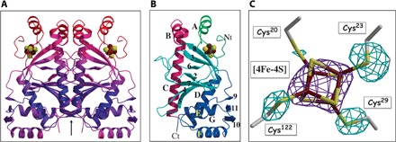 Fig. 2