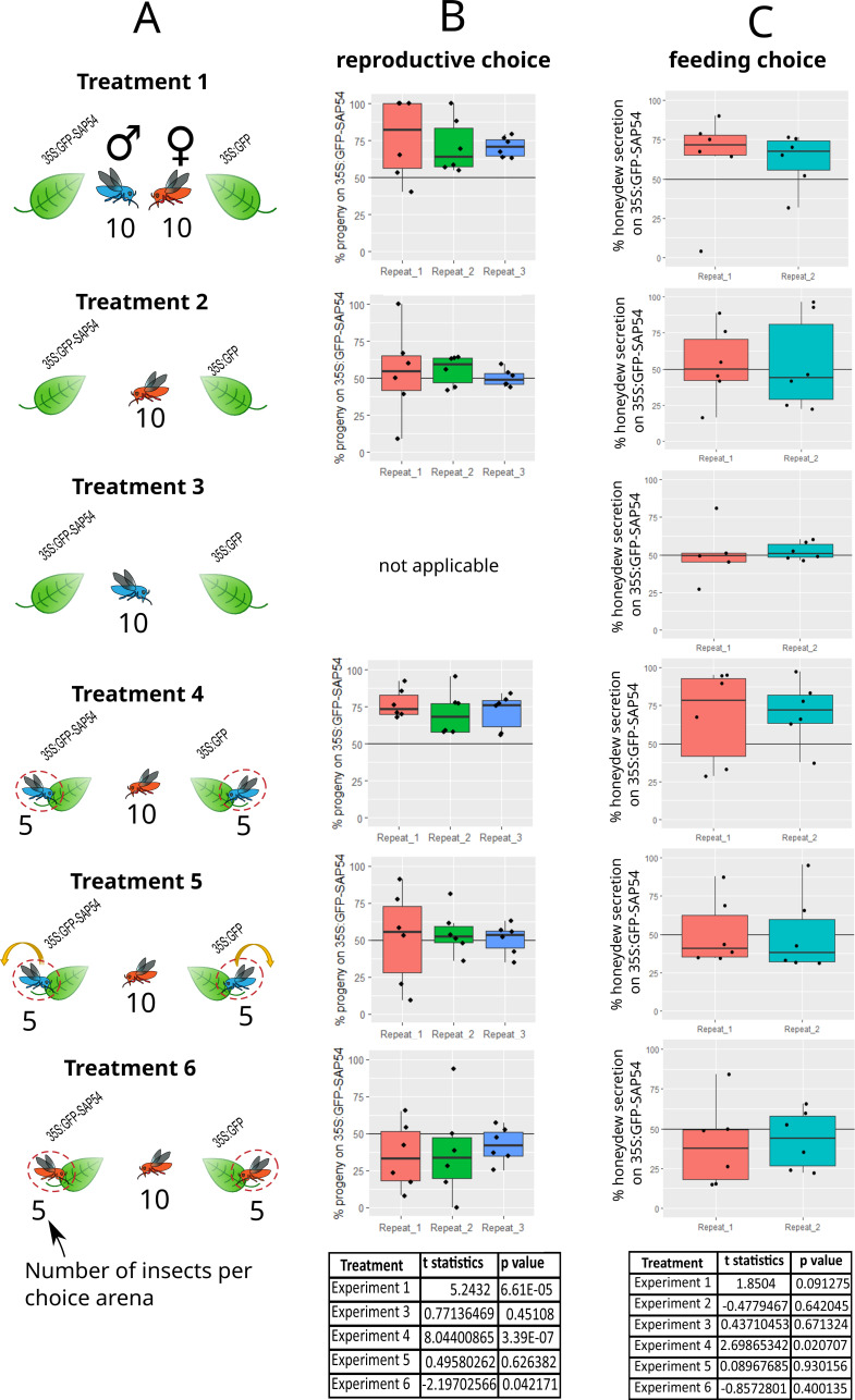 Figure 1—figure supplement 1.