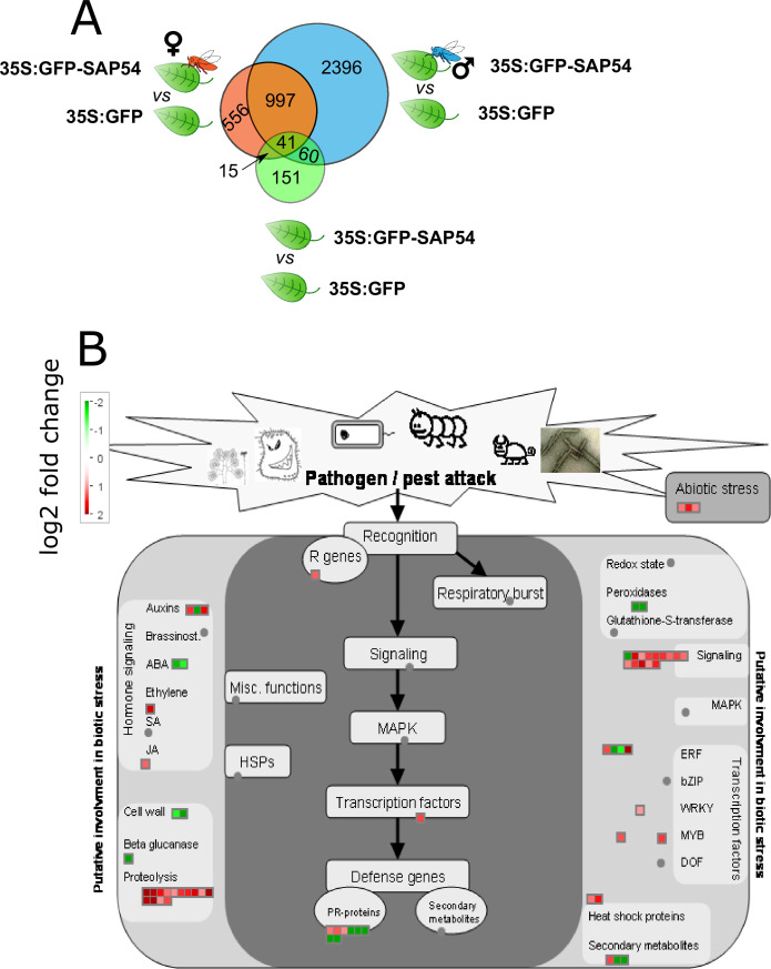 Figure 2—figure supplement 3.