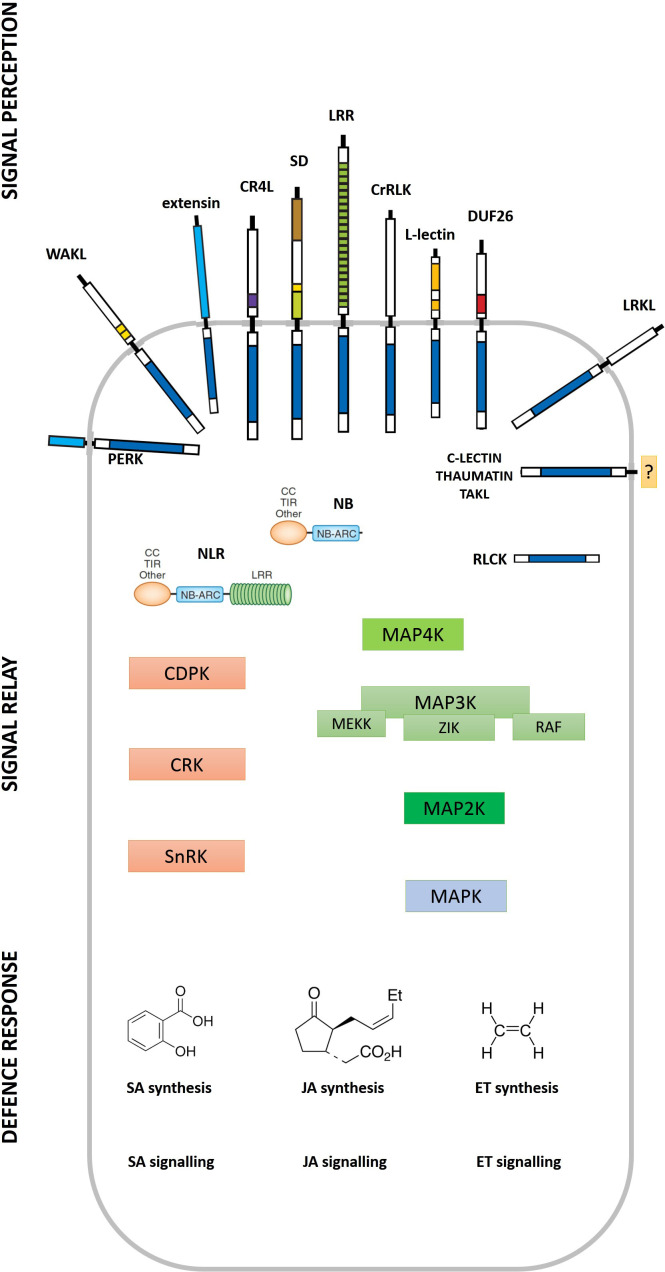 Figure 3—figure supplement 1.