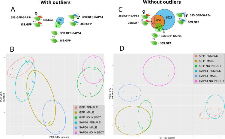 Figure 2—figure supplement 2.