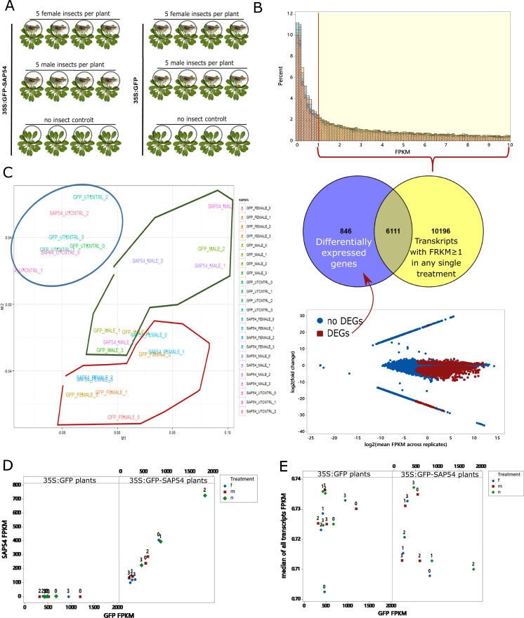 Figure 2—figure supplement 1.