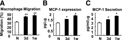 FIG. 5.