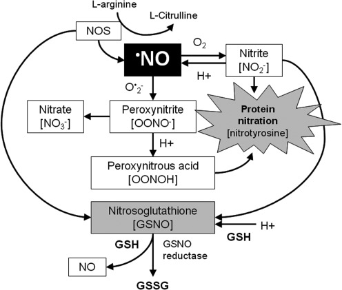 FIG. 10.