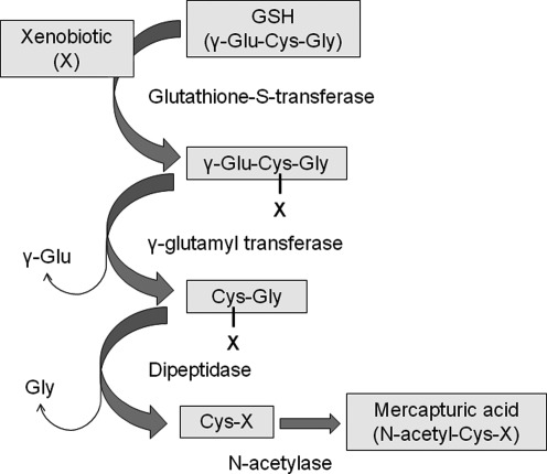 FIG. 7.